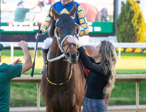 Claiming Crown Horse of the Year Goes to Like a Saltshaker